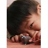 SCHLEICH WILD LIFE Meškėnas