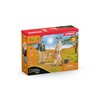 SCHLEICH „Wild Life“ Rinkinys - Nuotykiai gamtoje