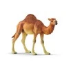 Schleich figūrėlė Vienkupris kupranugaris