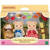 Epoch SYLVANIAN FAMILIES Rinkinys „Sausaininių meškučių iškyla“