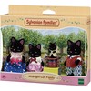 Sylvanian Families Vidurnakčio kačiukų šeimynėlė