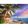 Trefl Dėlionė 500 vnt. - Bora Bora