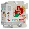 TREFL DISNEY PRINCESS Minkšta dėlionė