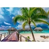Trefl Dėlionė 1000 vnt. - Bora Bora