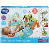 Vtech Interaktyvus žaidimų kilimėlis „Tukano ritmai“, EN