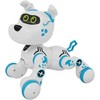 XTREM BOTS XTREAM BOTS Interaktyvus robotas „Bobby“