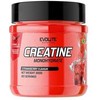 EvoLite Creatine Monohydrate (su skoniais) 300g. (Strawberry skonis)