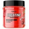 EvoLite Creatine Monohydrate (su skoniais) 300g. (Oranžinis skonis )