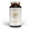 EvoLite Grape Seed extract OPC 90 kaps. (Vynuogių sėklų ekstraktas)