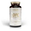 EvoLite Grape Seed extract OPC 90 kaps. (Vynuogių sėklų ekstraktas)