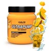 Evolite Ultra Pump 420 g. (Raudona Punch skonis)