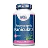 Haya Labs Andrographis Paniculata (Skėstašakių kamrų ekstraktas) 60 kaps.