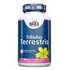 Haya Labs Tribulus Terrestris 100 tabl.