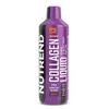 Nutrend Collagen Liquid 500ml. (Apelsinų skonis)