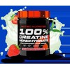 Scitec 100% Creatine Monohydrate 300g. (su skoniu) (Strawberry Žalias Tea skonis)