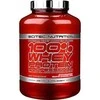 SCITEC 100% Whey Protein Professional 2350 g. (Chocolate-coconut skonis)