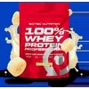 Scitec 100% Whey Protein Professional 500g. (Vanilla skonis )