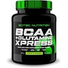 Scitec BCAA + Glutamine Xpress 600 g. (Watermelon skonis)