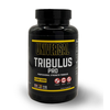 Universal Nutritions Universal Nutrition TRIBULUS PRO 110 kaps.