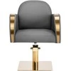 Activeshop Kirpyklos kėdė GABBIANO PROFESSIONAL HAIRDRESSING CHAIR MALAGA GOLD Pilkas