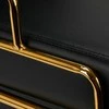 Activeshop Kirpyklos plautuvė GABBIANO PROFESSIONAL HAIRWASHER PRATO GOLD Juodas