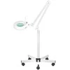 Activeshop Kosmetologinė lempa LED su lupa ir stovu 5D 22W Baltas