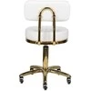 Activeshop Kosmetologinė meistro kėdutė STOOL BEAUTY BACKREST AM-961 GOLD Baltas