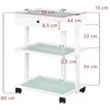 Activeshop Kosmetologinis vežimėlis 1040A GIOVANNI