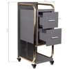 Activeshop Kosmetologinis vežimėlis GABBIANO HAIRDRESSER HELPER SOLO MODEL GOLD Pilkas