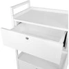 Activeshop Kosmetologinis vežimėlis GIOVANNI 1019 Baltas