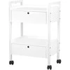 Activeshop Kosmetologinis vežimėlis GIOVANNI 1019 Baltas