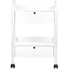 Activeshop Kosmetologinis vežimėlis GIOVANNI 1019 Baltas