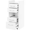 Activeshop Kosmetologinis vežimėlis Pro 969 (4 stalčiai)
