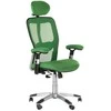 Beauty System Ergonominė biuro kėdė CorpoComfort BX-4147 Žalias