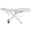 Beauty System Elektrinis masažo stalas COSMETOLOGY MASSAGE TABLE 1 MOTOR Baltas