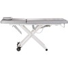 Beauty System Elektrinis masažo stalas COSMETOLOGY MASSAGE TABLE 1 MOTOR Pilkas