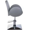 Beauty System Kirpyklos kėdė PROFESSIONAL HAIRDRESSING CHAIR ALTO AMSTERDAM Pilkas