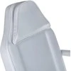 Beauty System Kosmetologinis krėslas BW-262A Pilkas