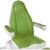 Beauty System Kosmetologinis krėslas MAZARO ELECTRIC ARMCHAIR 3 MOTOR Žalias