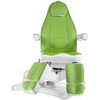 Beauty System Kosmetologinis krėslas MAZARO ELECTRIC ARMCHAIR PEDI 4 MOTOR Žalias