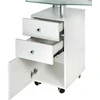 Beauty System Manikiūro stalas su dulkių ištraukėju MANICURE DESK PRACTIC GLASS Baltas