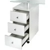 Beauty System Kosmetologinis stalas MANICURE DESK ESTHETIC GLASS Baltas