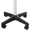 Beauty System Veido garinimo prietaisas - vapozonas NG-FSM002