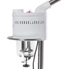 Beauty System Veido garinimo prietaisas - vapozonas BN-707
