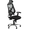 Beauty System Ergonominė biuro kėdė CorpoComfort BX-W4310 Juodas