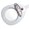 Beauty System Kosmetologinė lempa su lupa ir stovu BR-663G 10W