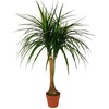 Dirbtinis augalas Dracena 120cm
