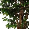 Dirbtinis augalas Fikusas MEZZO 180cm