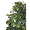 Dirbtinis augalas Fikusas MEZZO 180cm