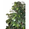 Dirbtinis augalas Fikusas MEZZO 180cm